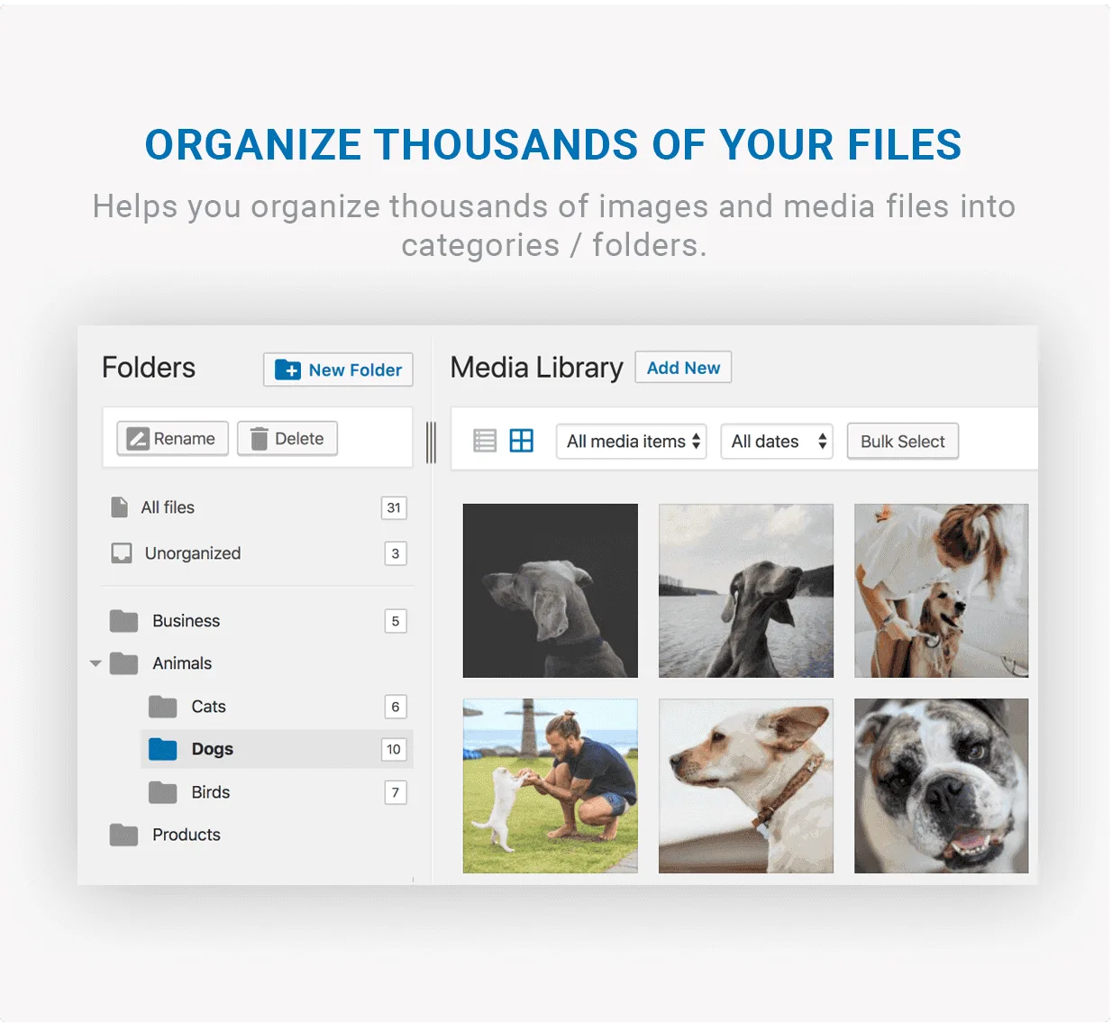 FileBird - Organize Thousands Of Your Files